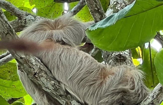 Casa de los Kobiera - Foto 52