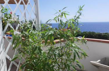 Casa Costa e Manfredi - Foto 7