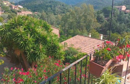 JOLI 2 PIECES SERRIERA - Foto 1