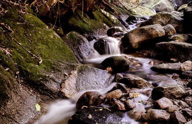 Senderismo por Bertioga + Paseo en barco - Foto 6