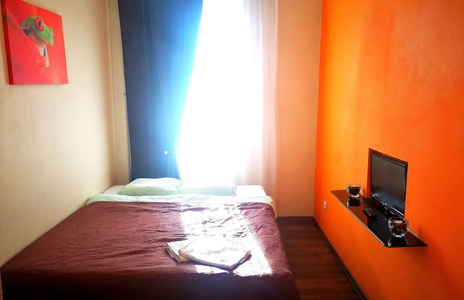 Orange Studio - Photo 64