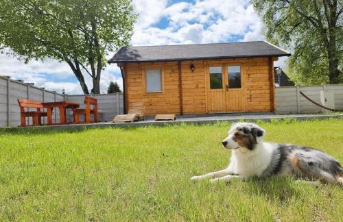 Glückseligkeit am Waldesrand - Foto 1