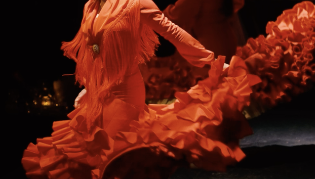 Teatro Flamenco Barcelona City Hall - Foto 3