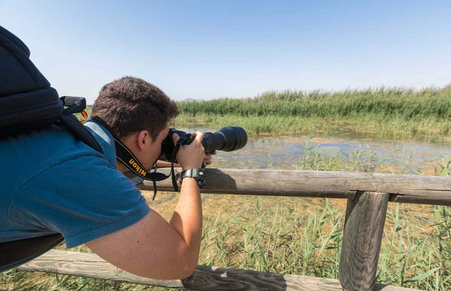 Observation de flamants roses dans le delta de l'Èbre au coucher du soleil - Photo 3