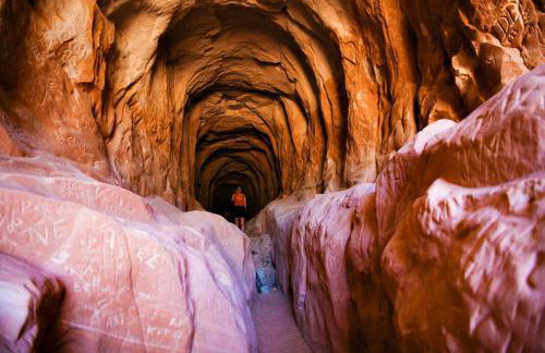 Timber & Tin G 2Bed 2Bath w Pool & Rooftop Deck - Foto 48