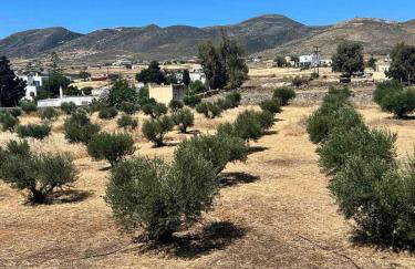 Olive House - Photo 13