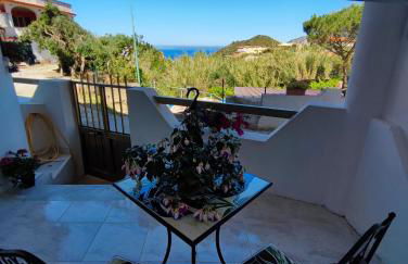 Nebida da Maria - Foto 16