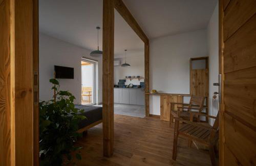 Apartamenty Ponidzie - Foto 4