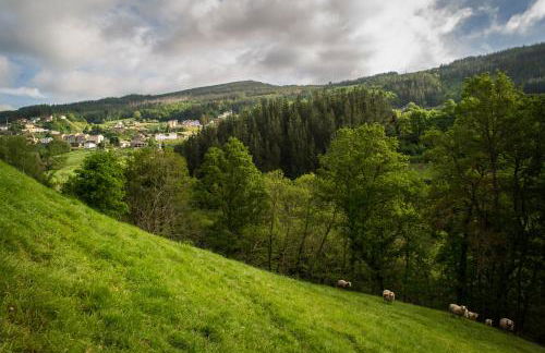 Apartamentos El Sualleiro - Foto 43