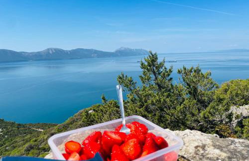 Studio Calma - Foto 35