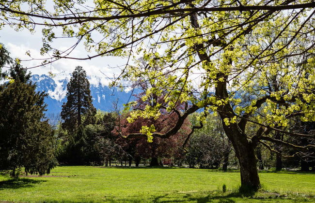 Ticket to Chaplin’s World - Photo 8