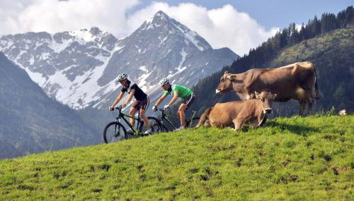 Beim Vogt - Oberjoch - Foto 5