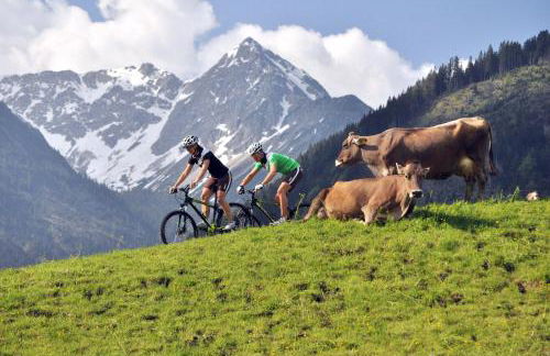 Beim Vogt - Oberjoch - Foto 5