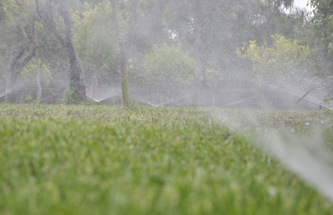 B&B Case Giannone - Photo 25