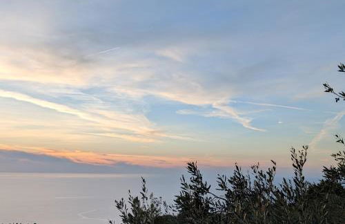 Anemar Lefkada - Photo 2