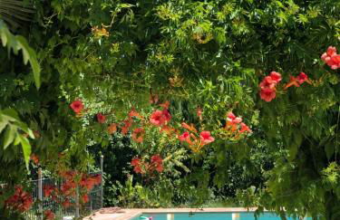 El Edén de Cazorla - Foto 20