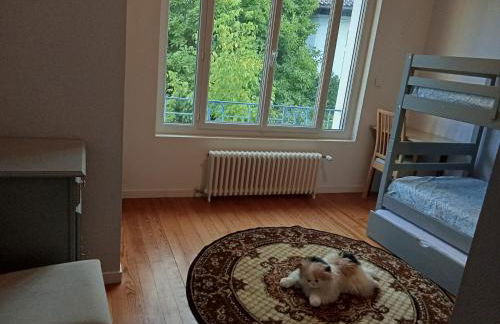 Maison du Sacre-Coeur - Foto 4