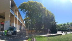 Comtal homey apartments - Foto 4, Shopping Area