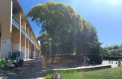 Comtal homey apartments - Foto 4