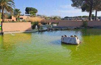 Rêves bleus, T2 proche plage des sablettes, Clim, Wifi, Place de parking - Foto 32