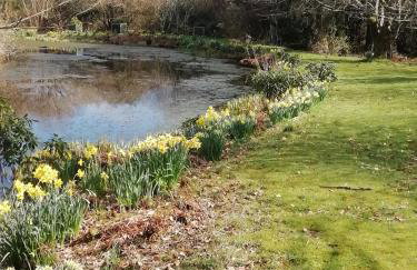 Polgwedhen Lodge - Photo 44