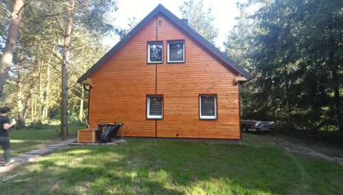Domek nad jeziorem Wilczyńskim - Photo 4, Garden, Garden view