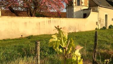 Gite de la Tour SPA PRIVÉ - Photo 4, Garden view