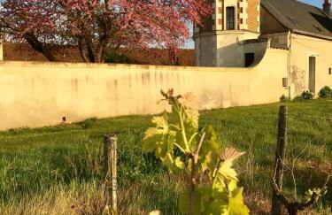 Gite de la Tour SPA PRIVÉ - Foto 4