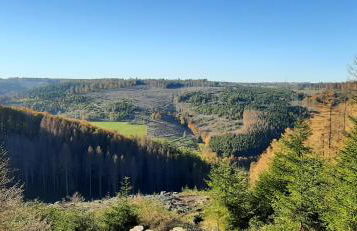 Ferienwohnung Schöne Aussicht am Rothaarsteig - Foto 20