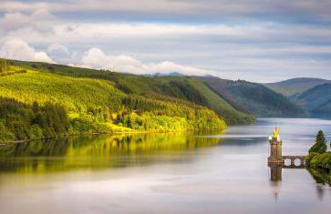 Odli Glamping - Deri - Photo 10