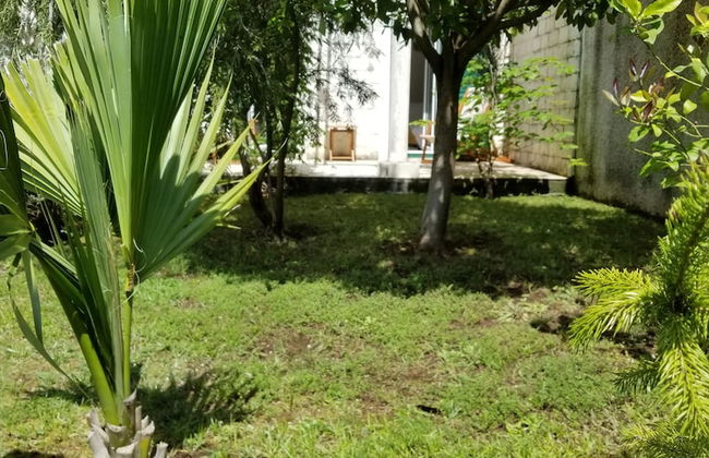 Green Village Kotor - Foto 67