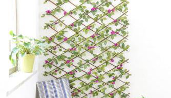 Ninfea Apartment Superior - Foto 5