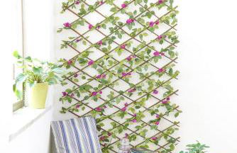 Ninfea Apartment Superior - Foto 5