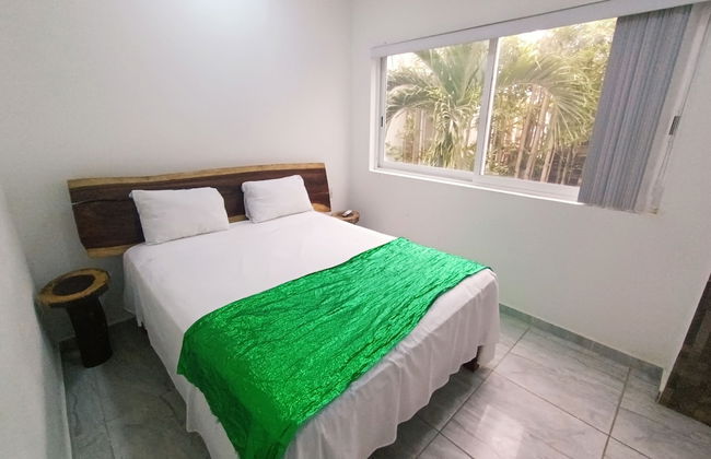 Palmas De Chahue - Foto 15