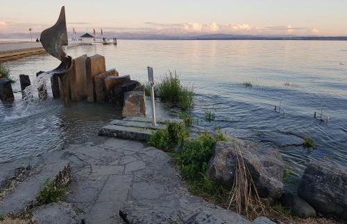 Malvelyns am Bodensee - Foto 21