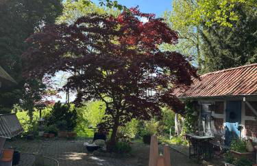 Reetdachtraum in Wischhafen - Photo 37