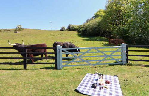 HollyDale - Photo 59