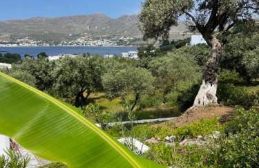 The Velanidies - Οι Βελανιδιές - Foto 69