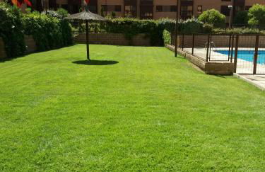 My Suites Madrid - Aeropuerto Ifema - Photo 66