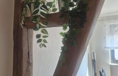 Ferienhaus Zimmer - Foto 8