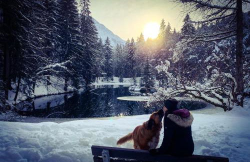 Apartment Chinook,La Praz,Chamonix Mont Blanc - Photo 30