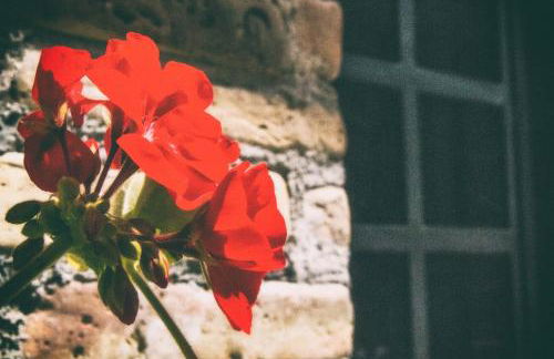 La casa di Flora - Foto 27