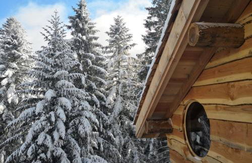 Cabanes des Volcans - Foto 10