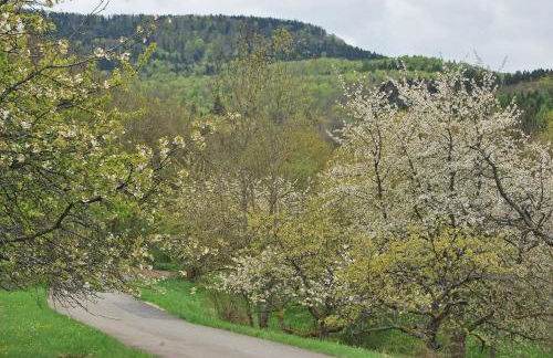 Ferienwohnungen beim Imker - Foto 6