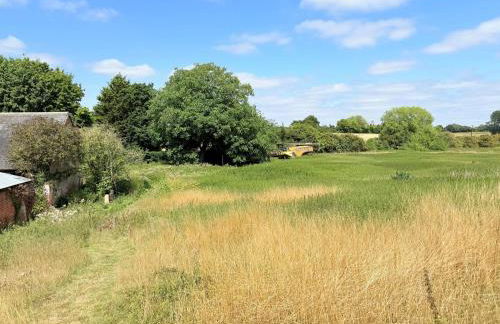 River House - Foto 5