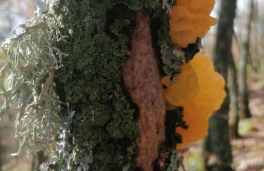 La Casa de Abajo - Photo 31