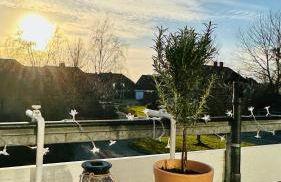 Küstenliebe - Foto 39