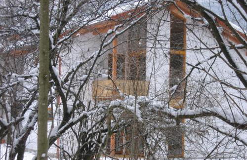 Ferienwohnungen Almrausch - Foto 33