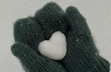 Senhora da Estrela AL - Foto 37