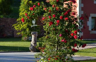 CASUCAS LA GUARIZA (Casa Eva ) - Foto 19